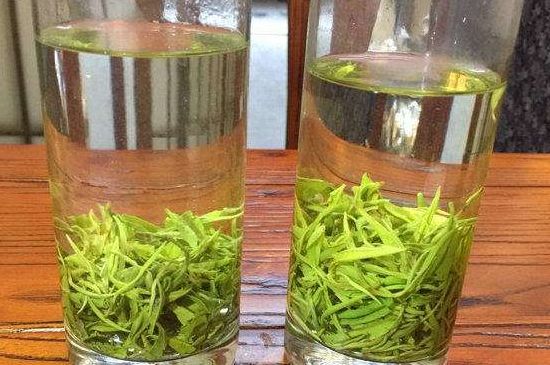 黃金茶的功效及禁忌癥，黃金茶有什么副作用嗎？