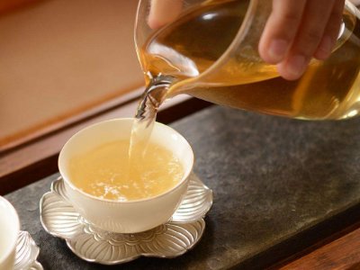 茶葉的專業(yè)知識，關(guān)于茶的基本知識大全