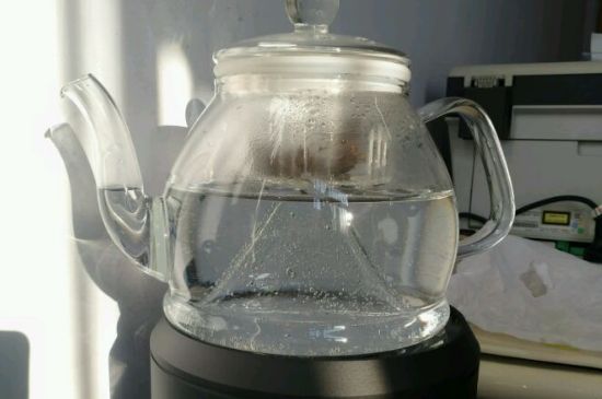 蒸茶和煮茶的區(qū)別，蒸茶和煮茶哪個(gè)好