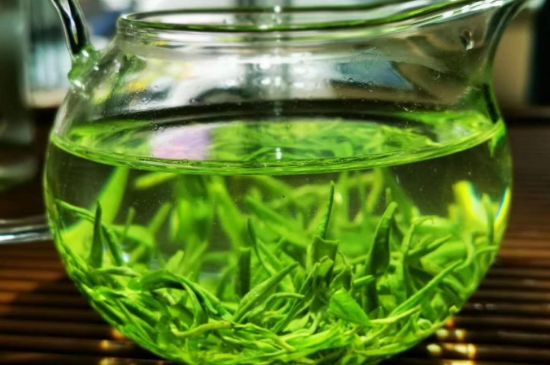 喝黃金茶禁忌，什么人不能喝黃金芽茶？