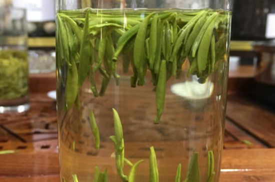 雀舌茶的副作用，雀舌茶什么人不能喝？