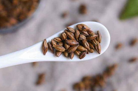 飯店的大麥茶為什么那么香，自己泡的蕎麥茶沒飯店香