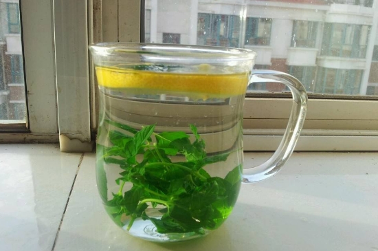 薄荷茶的功效與作用，喝薄荷茶有什么好處？