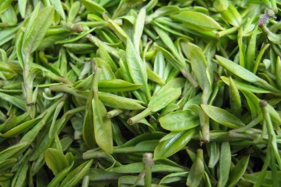 世界最貴的茶葉排行榜，十大最貴的茶