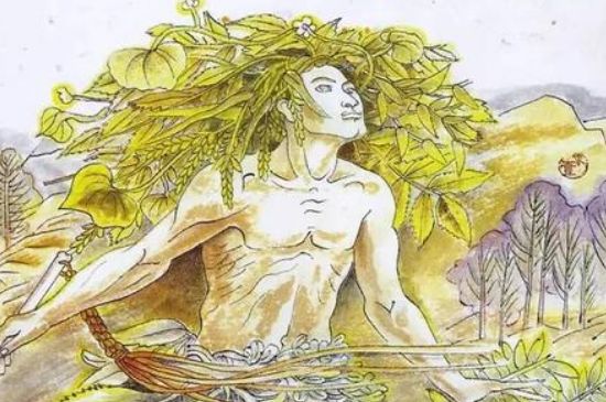 中國(guó)茶葉的發(fā)展歷史文化