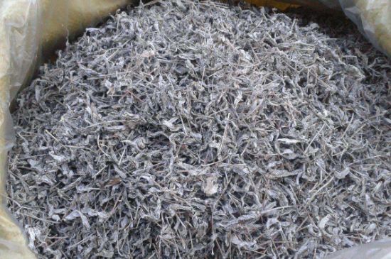 怎樣辨別莓茶發(fā)霉了，莓茶發(fā)霉和白霜的區(qū)別