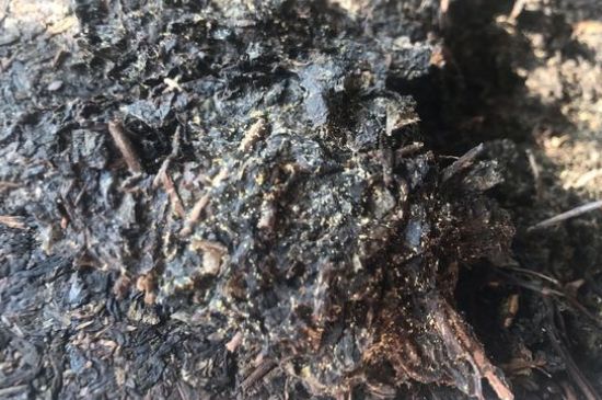 茯茶可以放在冰箱里存放嗎，茯磚茶如何儲(chǔ)存？