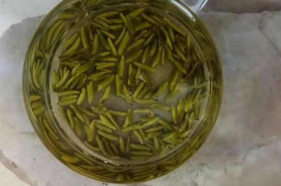 茶葉在哪里買比較好，哪里能買到好的茶葉