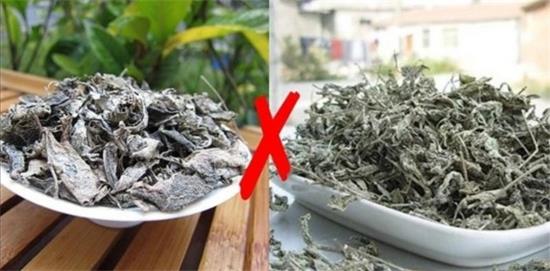 張家界茅巖莓茶與藤茶是同一種茶嗎，藤茶跟莓茶一不一樣？