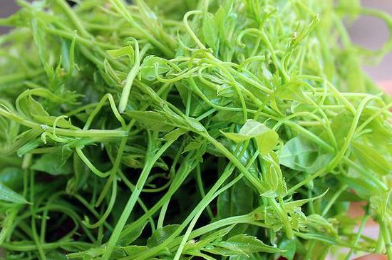 茅巖莓茶別名是什么，莓茶別名叫藤茶嗎？