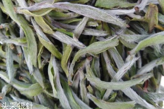 春茶季怎么辨別白毫銀針的好壞，好的白毫銀針如何選購(gòu)？