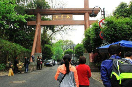 杭州買龍井茶攻略，怎么買到正宗的西湖龍井？