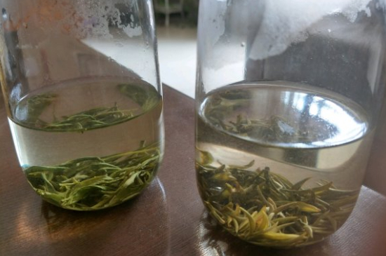 真假碧螺春泡水后區(qū)別，蘇州洞庭碧螺春怎樣鑒別好壞？