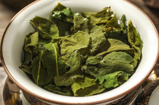 陳茶還是新茶好，茶葉是新茶好喝還是陳茶好喝