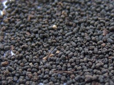 圓形顆粒狀茶是什么茶，像飼料一樣一粒粒的是什么茶？