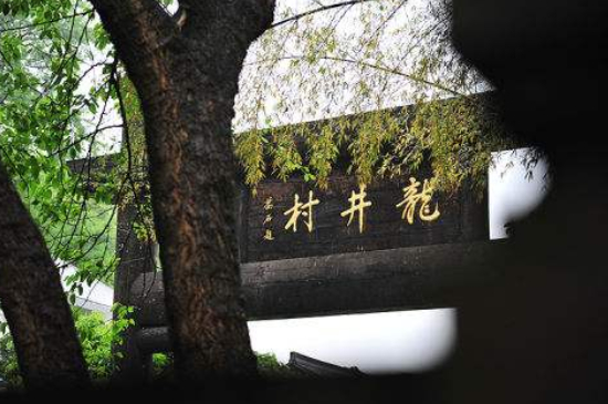 杭州買龍井茶攻略，怎么買到正宗的西湖龍井？