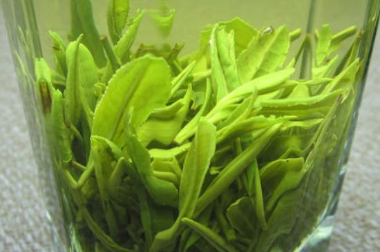 哪種茶葉可以放冰箱，哪些茶不能放冰箱？