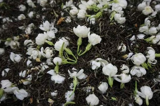 茉莉龍珠怎么做的，茉莉龍珠的制作工藝