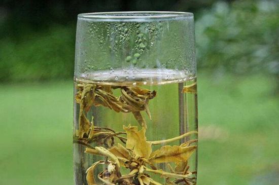 茉莉龍珠什么人不能喝，茉莉龍珠茶什么體質(zhì)不能喝？