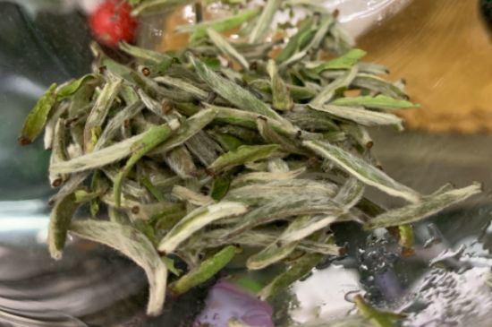 蒸汽煮茶器適合什么茶，蒸汽煮茶器適合用綠茶嗎？