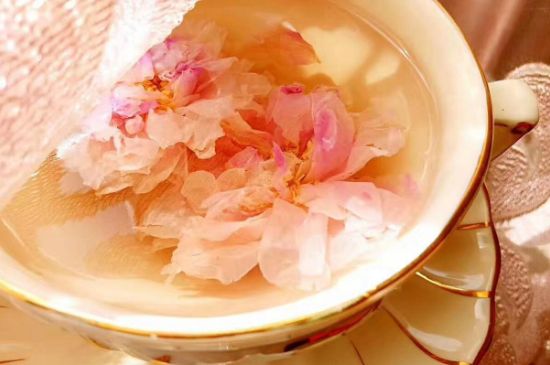 玫瑰花茶一周喝幾次，玫瑰花茶可以天天喝嗎？