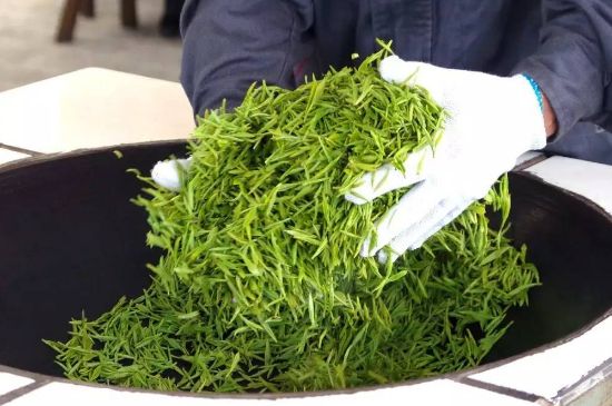 自家炒茶葉怎么炒，自己炒茶葉的步驟