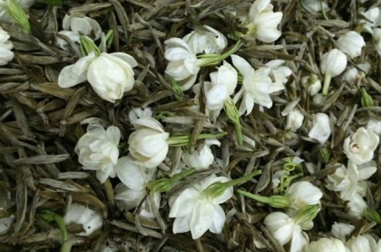 茉莉銀針口感，茉莉銀針是什么味道？