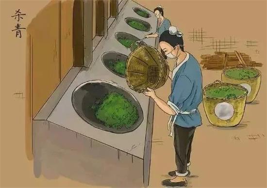 制茶八步驟，制茶工藝流程圖
