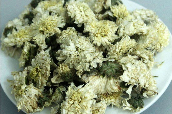 菊花茶買小朵還是大朵，泡茶用的小菊花和大菊花哪個(gè)好