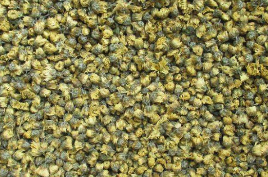 菊花茶大朵小朵有什么區(qū)別，菊花喝大朵還是小朵？