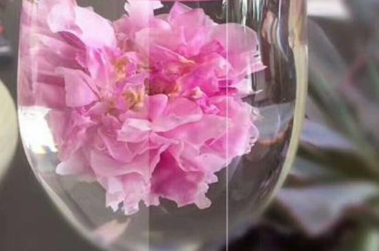 干玫瑰花泡水放幾顆，玫瑰花泡水一次放幾朵？