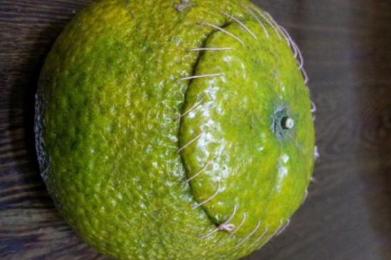 家庭自制柑普茶方法，小青柑制作9個(gè)步驟竅門（圖片）