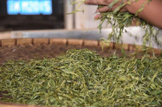 炒青綠茶與綠茶的區(qū)別，烘青和炒青哪個好喝？