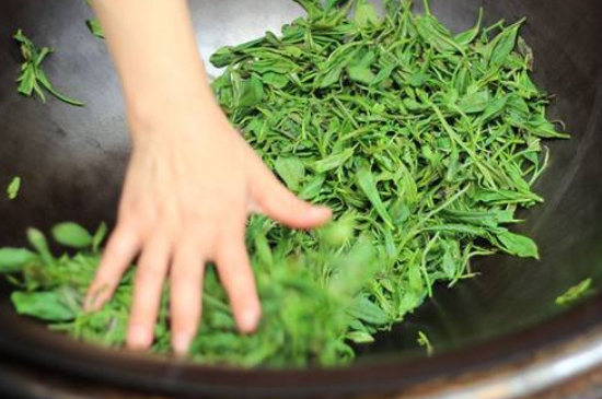 炒青綠茶與綠茶的區(qū)別，烘青和炒青哪個好喝？