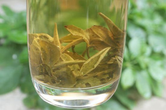 茉莉龍珠泡開后為什么都是梗，茉莉龍珠泡開后什么樣？