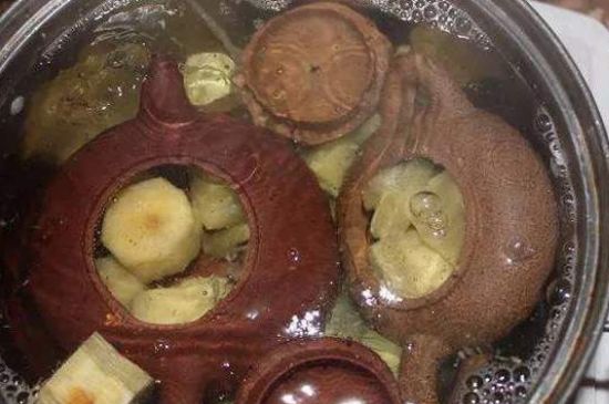 開壺放豆腐是錯誤的，新買的紫砂壺正確開壺建議