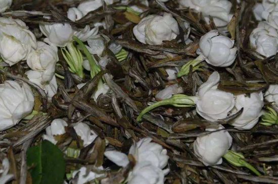 茉莉龍珠怎么做的，茉莉龍珠的制作工藝