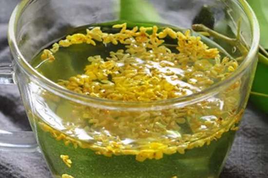 茉莉茶一次泡幾朵，茉莉茶放多少