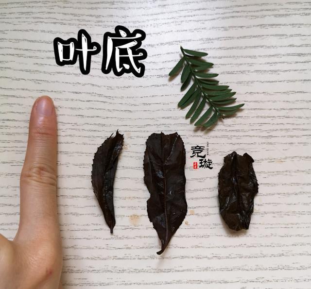 正山小種很細(xì)還很黑亮，正山小種越細(xì)越好嗎