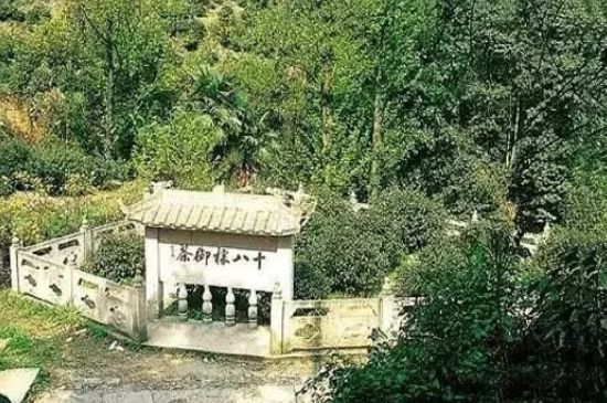 母樹大紅袍給誰喝了，為什么母樹大紅袍叫三棵六株？