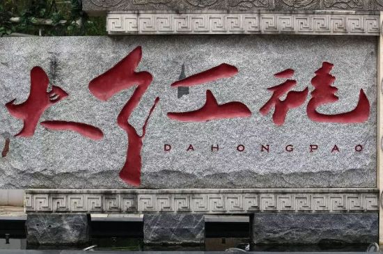 母樹大紅袍給誰喝了，為什么母樹大紅袍叫三棵六株？