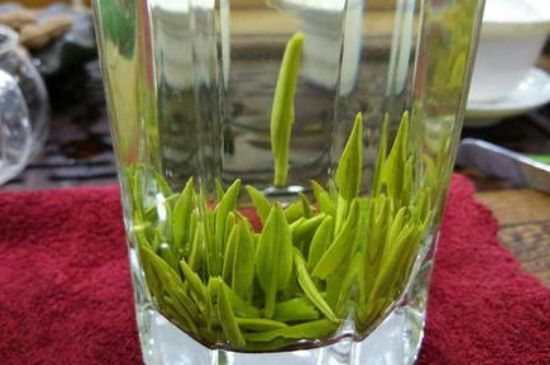 雀舌有一股青草味，雀舌為什么有青草味？