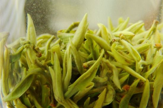 碧螺春為什么泡水渾濁，碧螺春茶葉泡水感覺很臟是混濁的