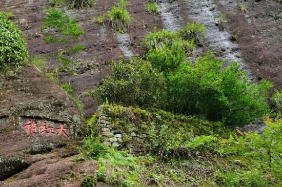 武夷巖茶大紅袍，喝起來(lái)是什么味道？