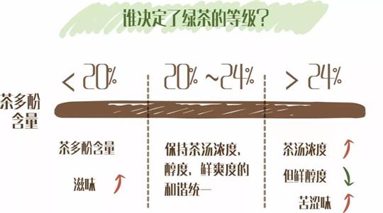 什么綠茶口味重口感濃郁，口味比較重的綠茶都有那些？