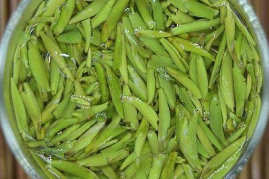 金壇雀舌什么檔次，金壇雀舌算不算好茶？