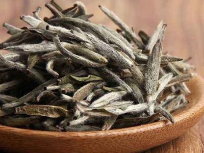 白茶有哪些品種排名，<a href=http://m.rhbjnk.com/fenlei/baicha/ target=_blank class=infotextkey>白茶的種類</a>大全