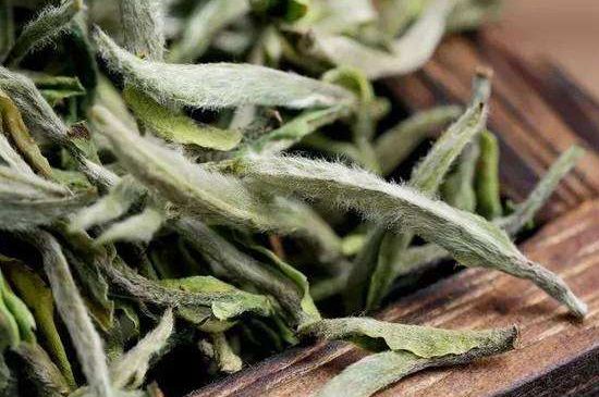 荒野銀針有什么特點(diǎn)，荒野銀針的味道口感咋樣？