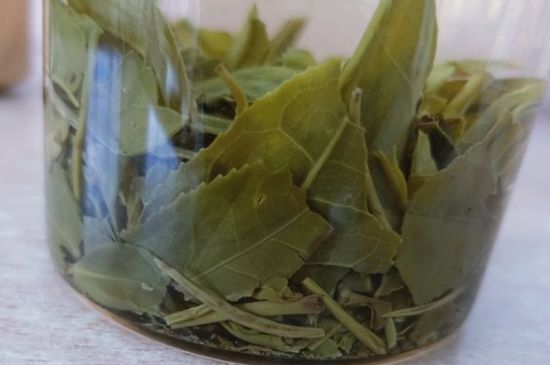 綠茶陳茶和新茶區(qū)別，綠茶怎樣區(qū)分新茶和陳茶