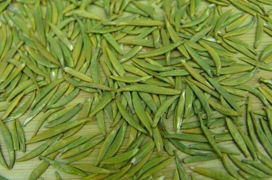 竹葉青和毛尖的區(qū)別，毛尖和竹葉青怎么分辨？